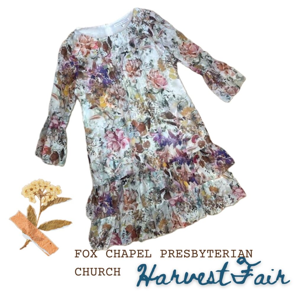 Donna Degnan Floral Drop Waist Dress, Size 2